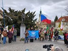 Obrázek v galerii